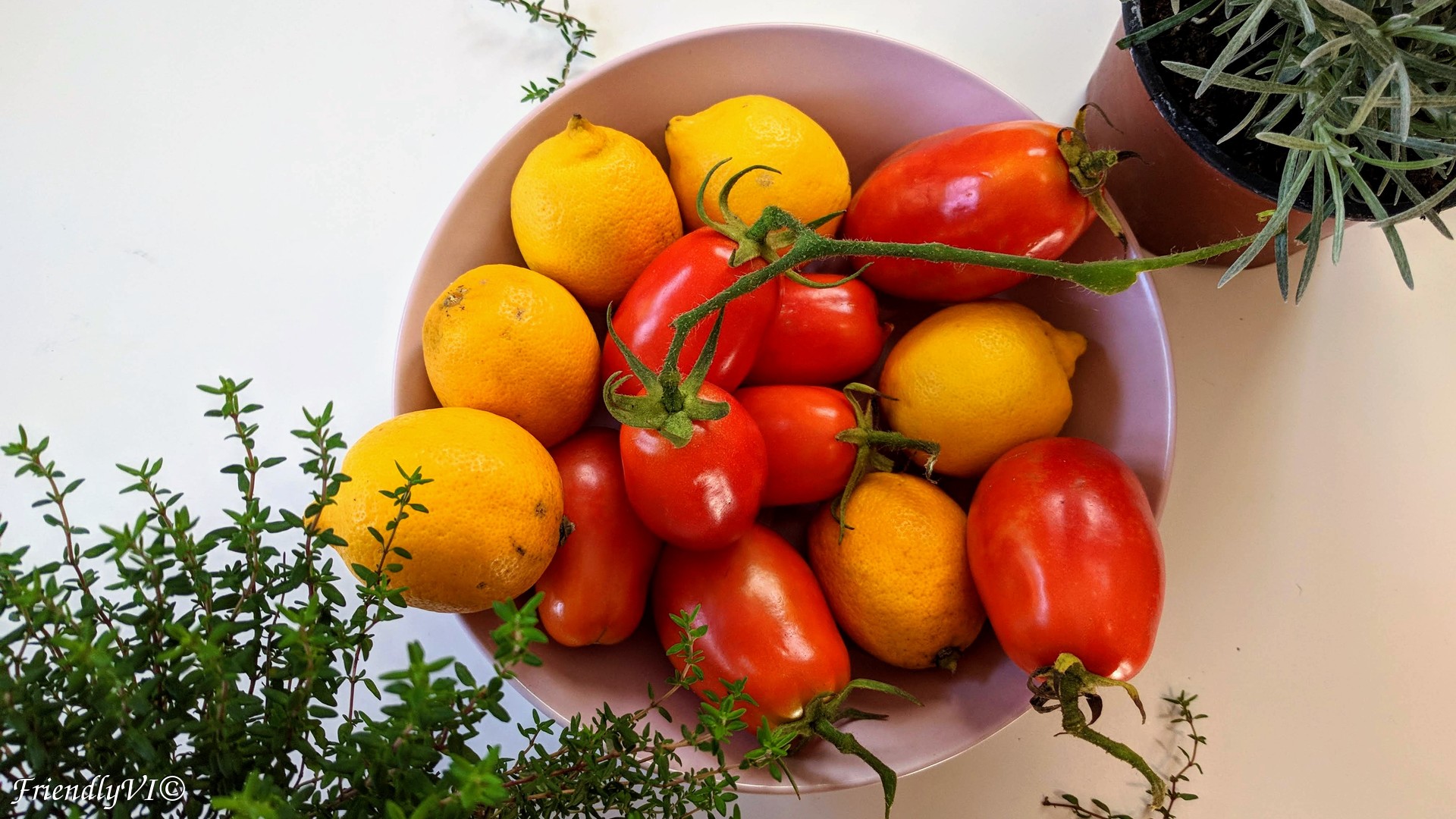 home grown tomatoes Roma