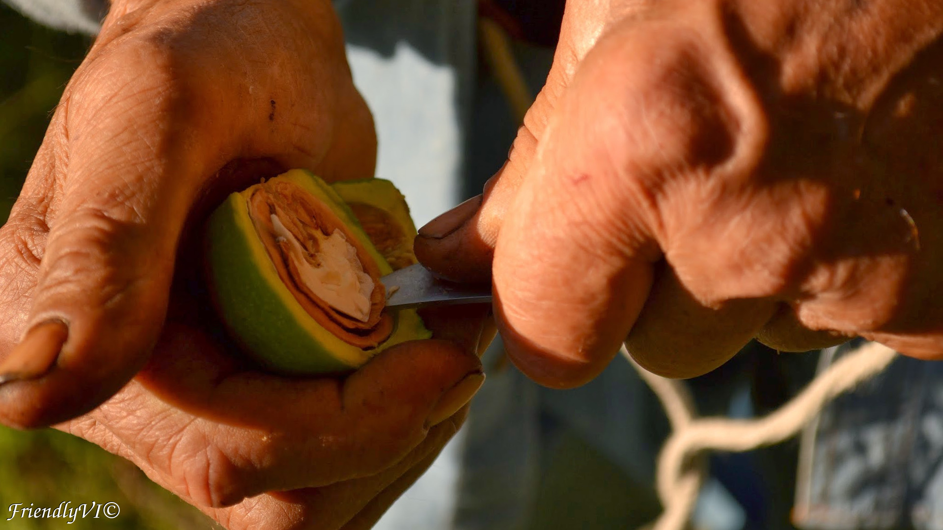 how to open a walnut