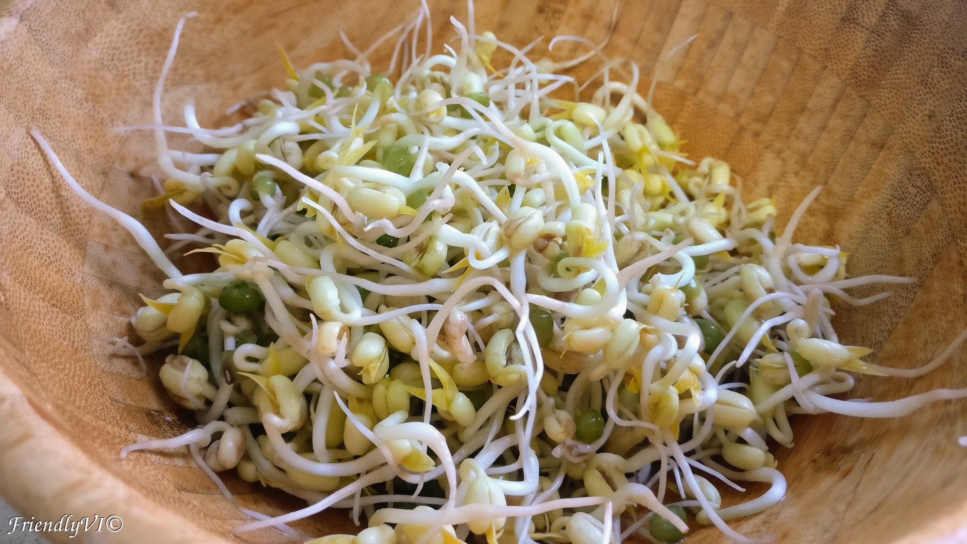 sprouted mung beans