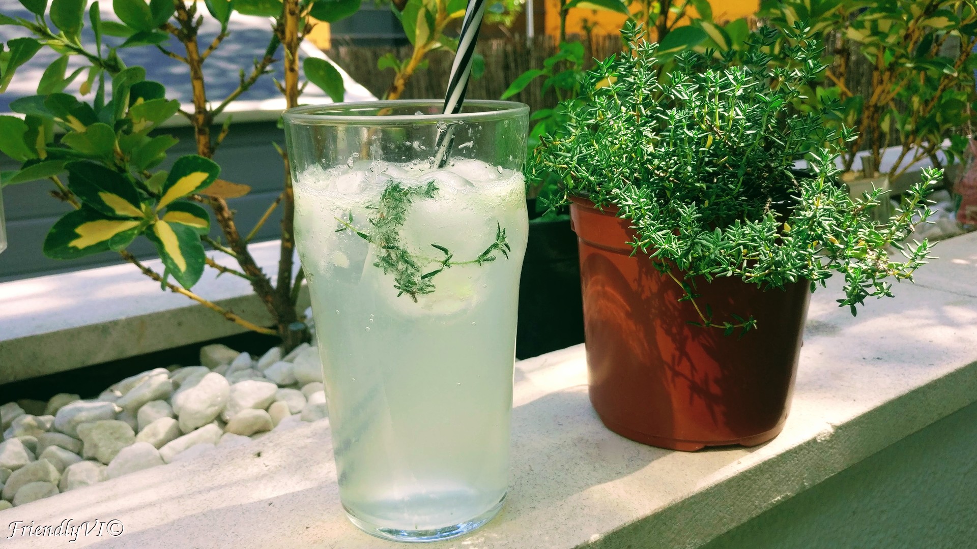 thyme lemonade